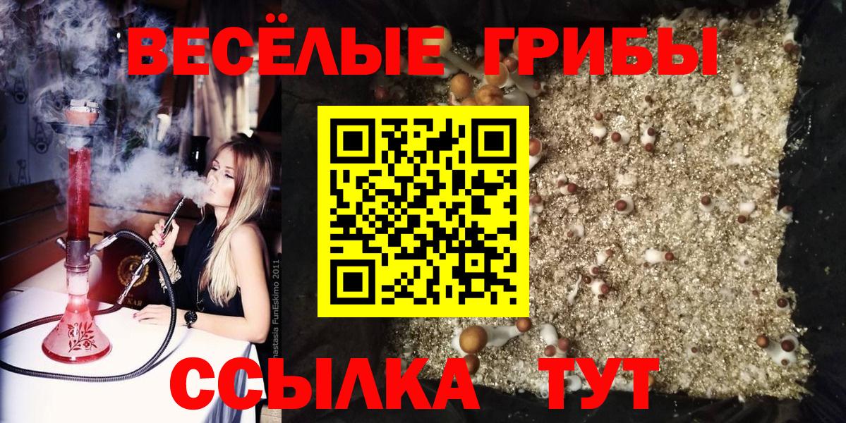 Белогорск  Галлюциногенные грибы Cubensis  Вход с VPN 
