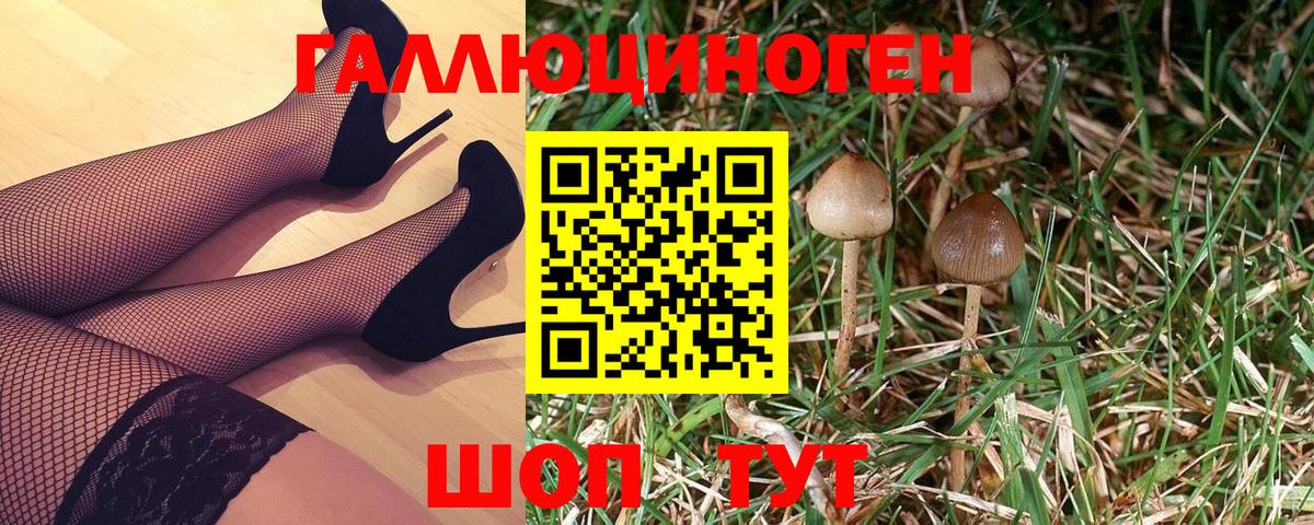 Псилоцибиновые грибы Psilocybine cubensis Белогорск